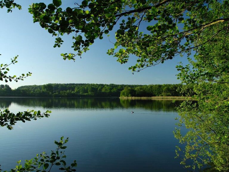 Lire la suite à propos de l’article Lac de Bambois